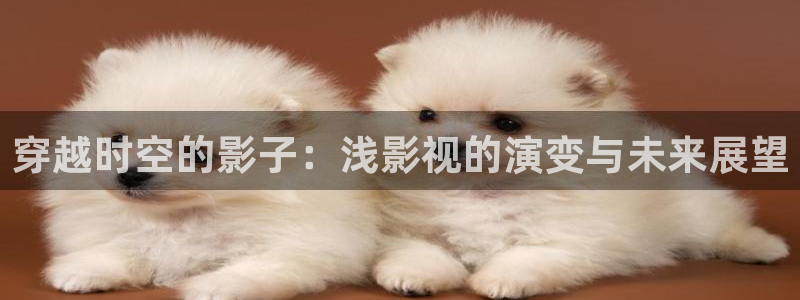 探花系列在线视频：穿越时空的影子：浅影视的演变与未来展望