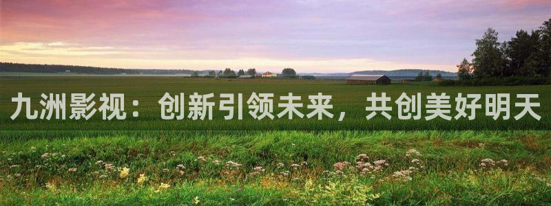 探花视频在线观看视频：九洲影视：创新引领未来，共创美好明天