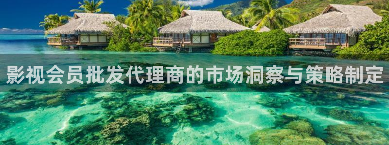 探花视频全集：影视会员批发代理商的市场洞察与策略制定