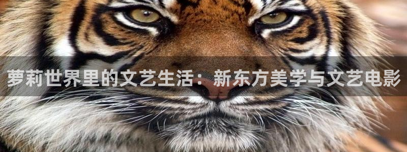 探花短视频：萝莉世界里的文艺生活：新东方美学与文艺电影