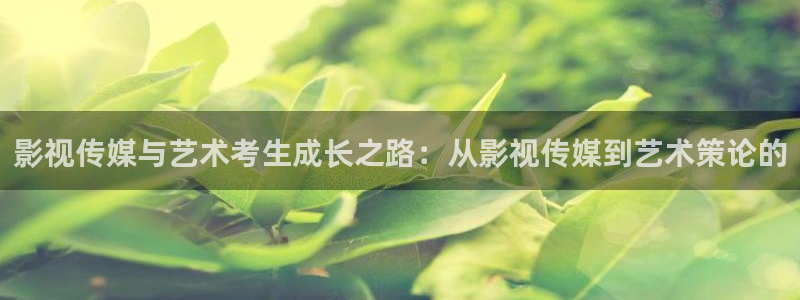 国产探花视频一区：影视传媒与艺术考生成长之路：从影视传媒到艺术策论的
