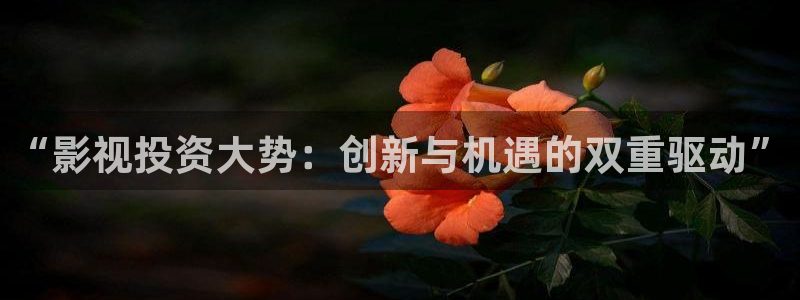 探花视频精彩：“影视投资大势：创新与机遇的双重驱动”