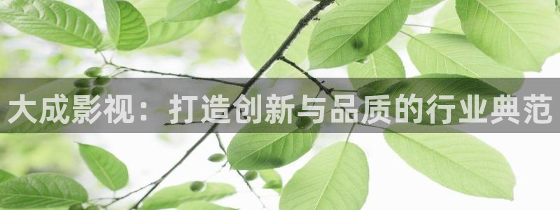 探花视频免费观看+在线观看：大成影视：打造创新与品质的行业典范