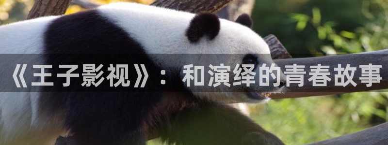 探花视频网站：《王子影视》：和演绎的青春故事