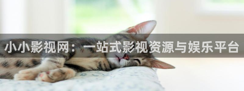 日韩探花视频：小小影视网：一站式影视资源与娱乐平台