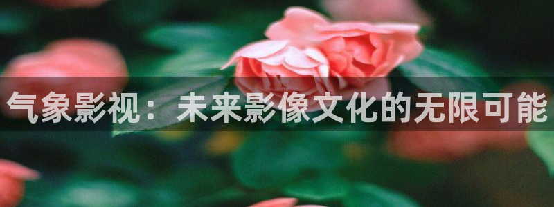 探花女神视频：气象影视：未来影像文化的无限可能