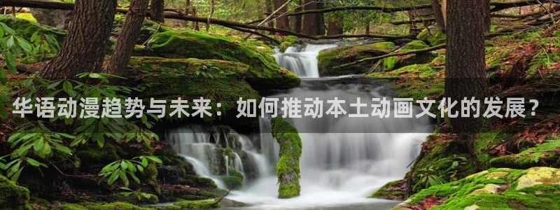 探花小宝视频：华语动漫趋势与未来：如何推动本土动画文化的发展？