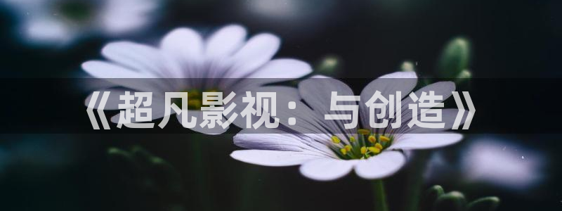 探花小宝视频：《超凡影视：与创造》