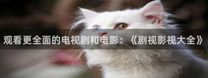 探花视频神马在线：观看更全面的电视剧和电影：《剧视影视大全》